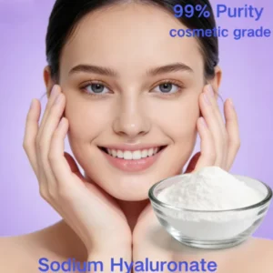 High quality Cosmetic grade Hyaluronic Acid Raw Material Powder Highly Pure Water soluble Sodium Hyaluronate