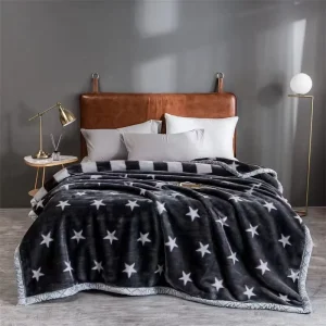 Home Bed Heavy Fleece Plush Thick Raschel Mink Faux Mink Soft Winter Blanket Africa