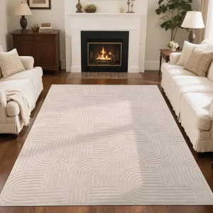 Home Modern Micro Loop Indoor Area Rugs Geometric Luxury Durable Low and High Pile Non Shedding Stain Resistant Soft Area Carpet