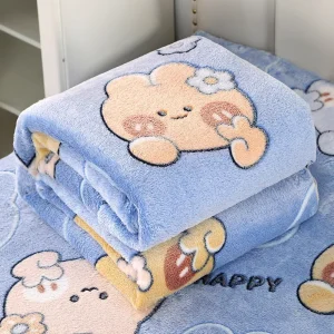 Home Textiles Custom Printed Soft Warm Airplane Luxury Cozy Other Fleece Bed Blankets Throws for Winter Double Bed
