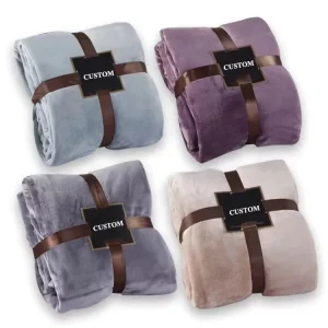 Home Textiles Custom Printed Soft Warm Airplane Luxury Cozy Other Fleece Bed Blankets Throws for Winter Double Bed