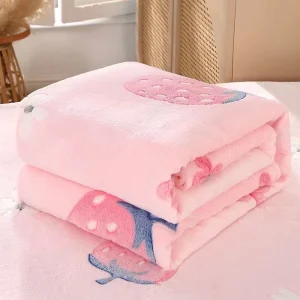 Home Textiles Custom Printed Soft Warm Airplane Luxury Cozy Other Fleece Bed Blankets Throws for Winter Double Bed