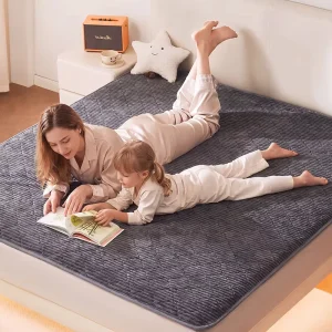 Home use Winter Double layer Thick Insulation Blanket 110v Heating Blanket