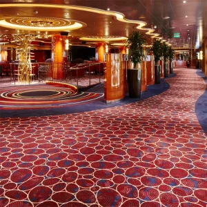 Hotel Carpet Luxury Wall to Wall Carpet High Quality Carpet for Hotel