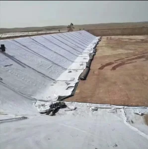 Industrial Design Nonwoven Geotextile Fabric Made of HDPE and PP Material