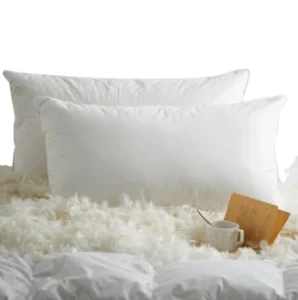 JR248 Luxury 5 Star Hotel Pillow Goose Feather Down Hotel Collection Bed Pillows for Sleeping