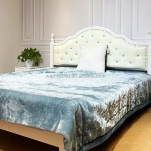 Korean Raschel Winter Blanket 2 Ply 10 KG Double Layer Flat Screen Printed Polyester Customizable Color Home Outdoors