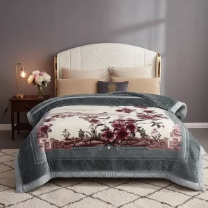 Korean Style Thick Winter Warm Soft Plush Washable Heavy Double Layer Raschel Blanket