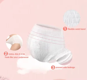 Lady Kitty Custom Logo Disposable Organic Cotton Panties Breathable Sanitary Pad Pants with Sanitary Napkins