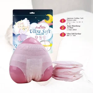 Lady Kitty Disposable Incontinence Period Underwear Menstrual Panties Women Sanitary Pads for Women