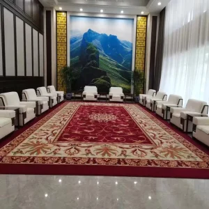 Luxury Carpet Embossed Floor Wall to Wall Carpets