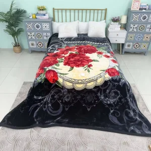 Luxury Korean Double-Layer Thickened Extra-Large Winter Bed Sofa Soft Warm Bedding Raschel Blanket