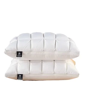 Luxury Modern Five star Hotel Goose Down Feather Pillow Neck Support Back Eco Friendly Cooling 100% Cotton Bed Pillow Core White