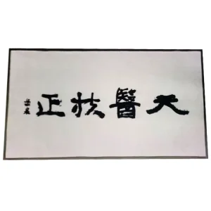 Luxury Nylon Logo Mat Custom Printed Washable Non Slip Door Mat Rubber Backed Entrance Carpet Floor Mat