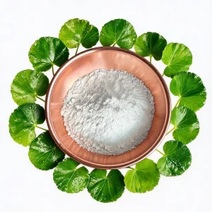 Madecassoside CAS 34540 22 2 Natural Triterpene Saponin for Skin Care