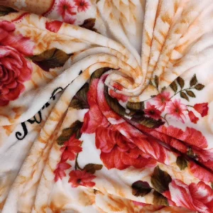 Manufacture Custom Logo Super Soft Queen Size Print Printed Flannel Fleece Bed Throw Blanket Supplier