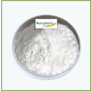 Manufacture Supply Natural Supplement Raw Material Bamboo Leaf Extract Organic 70% Silica Bamboo Powder Silica for Cosmetic