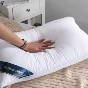 Memory Luxury Bed Pillow Soft Fill Down Hotel Bed Sleeping Hilton Pillow 650g