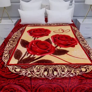 Middle East Hot Selling Super Soft Comfortable Skin friendly High quality Raschel Blanket 8kg Spain