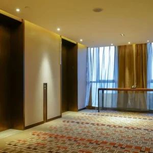 Modern 5 Star Hotel Carpet Wall to Wall Tufted Rugs for Guest Room Polypropylene