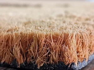 Modern Anti Fatigue Washable Customized Coconut Fiber Door Mats for Home and Hotel Use