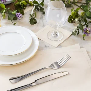Modern Custom Logo Place Mats Natural Color Tear-Off Large Napkins Disposable Square Design for Home