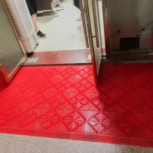 Modern Luxury Anti-Slip Door Matting Washable EVA Brush Mat New Waterproof Feature Three One Extra Thick Geometric Pattern