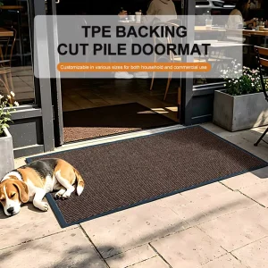 Modern Non Slip Entrance Cut Pile Mat Soft Polypropylene Water Absorbent Washable Door Mat PVC Rubber TPE Mat