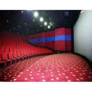 Modern Popular Style Manufacture Stock Cinema Hall Carpets Wall to Wall Customized Size and Design