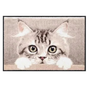 Modern Reversible Nylon Cut Pile Door Mat Non Slip Printed Animal Cat Design Turfed Bathrooms Decorative for Home Hotel Washable