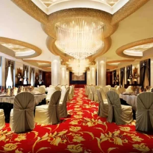 Modern Wilton Wool Tufted Abstract Washable Custom Luxury Jute Backing Hotel Lobby Carpet for Home Corridor Living Room