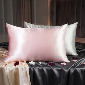 Mulberry Silk Pillowcase Anti Aging Anti Bacterial Custom Factory Silk Pillow Case 19 22 25 Momme for Daily Beauty