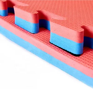 Multi Purpose 2cm EVA Foam Puzzle Exercise Mats Interlocking Floor System Anti Slip Waterproof Eco Friendly for Home Gym Dance