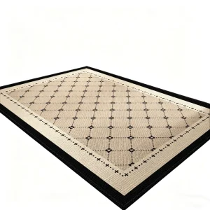 New Design Non Slip Washable Door Mat Easy to Clean Multiple Colors Available