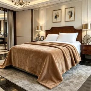 New Zealand Blanket Hotel Room Blankets Thick Winter Bed Blankets Single and Double Blankets
