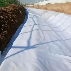 Non Woven PP Anti Aging Industrial Geotextile Fabric for Road Construction and Agriculture
