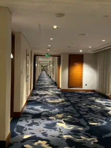 Nylon Polypropylene High Pile Cut Pile Broadloom Carpet Geometric Pattern Wall to Wall 4m Roll for Hotel Lobby & Living Room