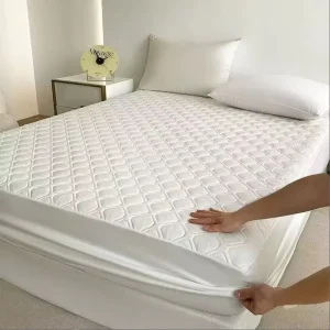OEM Electric Dual Zones Control App Controlled Adjustable Thermostat Smart Mattress Cover Cooling Heating Safe Pod Bed System