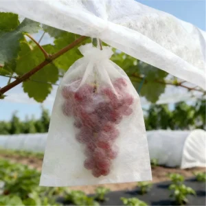 OEM pp Nonwoven Agricultural Fabric pp Nonwoven Fabric pp Nonwoven Fabric for Agriculture Use