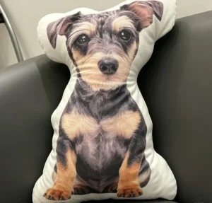 Other Types BODY Face THROW Pillows and Cushions Custom Pet Pillows for Sleeping Comfortable
