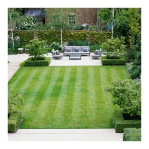 Outdoor Artificial Grass Per Square Foot Roll 10m X 2m Artificial Grass Carpet for Garden