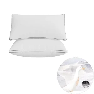 Overseas Stock Standard Size Bed Pillow Five star Hotel 40% Goose Down Pillow for Hotel and Home Used Pillow Core