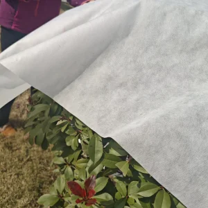 PP Non-woven Fabric Eco-Friendly Non Woven Cloth PP Spunbond Nonwoven Fabric TNT Nonwoven Fabric