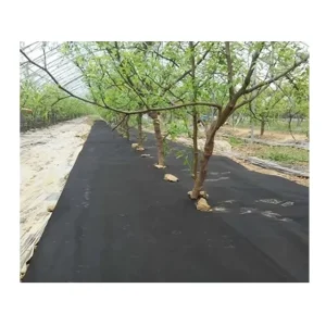 PP Spun bond Non Woven Geotextile Fabric for Agricultural Use Packaging & Industrial Applications