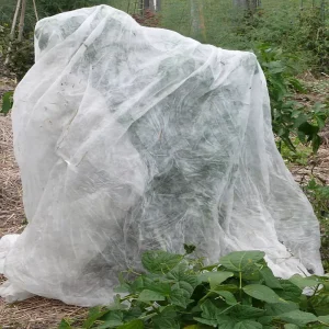 PP Spunbond Nonwoven Fabric 30gsm for Frost Protection and Nursery Cover