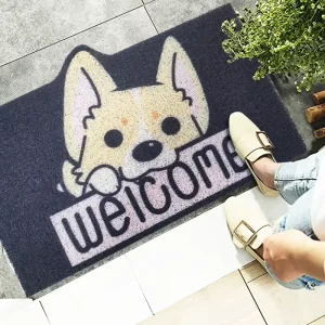 PVC Entrance Doormat Coil Rainbow Durable Non Slip Printed Custom Door Mat for Outdoor Entrance
