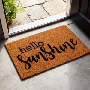 Personalized Anti slip Door Mat Heavy Duty Easy Clean Entry Door Mat Beautiful Mat Outdoor Indoor Use Home