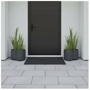 Pet Friendly Modern Nordic Door Entrance Mat Non Slip Washable Wear Resistant Easy to Clean Made of Polyester