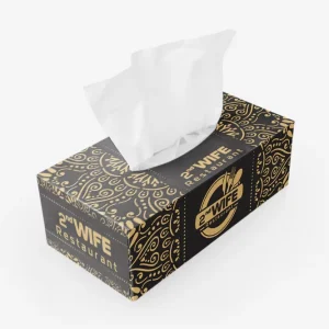 Premium Silk Facial Tissues in OEM Factory Custom Made Boxed Facial Tissues