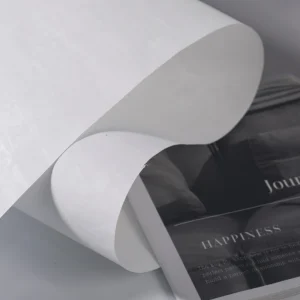 Premium White Nonwoven Fabric with Continuous Filament No Pilling No Dust Enhanced Durability Alternative to Woven Short Fiber